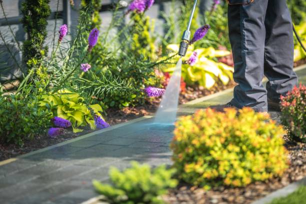 Best Pool Deck Cleaning  in Silver Lake, KS